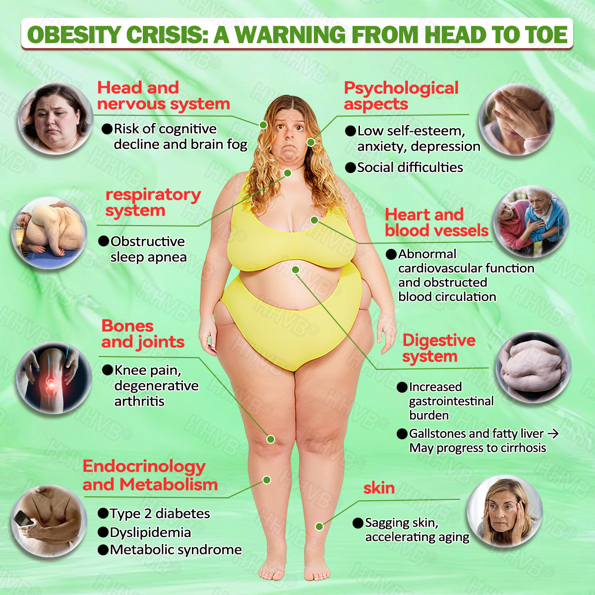 𝑶𝒇𝒇𝒊𝒄𝒊𝒂𝒍 𝑺𝒕𝒐𝒓𝒆 |✨✨ 𝐺𝐿𝑃-𝟏  𝐒𝐢𝐱 𝐢𝐧 𝑶𝐧𝐞 𝐇𝐞𝐚𝐥𝐭𝐡 𝐒𝐨𝐥𝐮𝐭𝐢𝐨𝐧 𝐎𝐫𝐚𝐥 𝐋𝐢𝐪𝐮𝐢𝐝 (𝐉𝐮𝐬𝐭 𝐨𝐧𝐜𝐞 𝐚 𝐝𝐚𝐲, 𝐯𝐢𝐬𝐢𝐛𝐥𝐞 𝐜𝐡𝐚𝐧𝐠𝐞𝐬 𝐢𝐧 𝟕 𝐝𝐚𝐲𝐬） ✨𝐅𝐨𝐫 𝐨𝐛𝐞𝐬𝐢𝐭𝐲, 𝐜𝐚𝐫𝐝𝐢𝐨𝐯𝐚𝐬𝐜𝐮𝐥𝐚𝐫 𝐡𝐞𝐚𝐥𝐭𝐡, 𝐝𝐢𝐚𝐛𝐞𝐭𝐞𝐬, 𝐬𝐥𝐞𝐞𝐩 𝐚𝐩𝐧𝐞𝐚, 𝐆𝐮𝐭 𝐇𝐞𝐚𝐥𝐭𝐡, 𝐣𝐨𝐢𝐧𝐭 𝐢𝐬𝐬𝐮𝐞𝐬, 𝐚𝐧𝐝 𝐦𝐨𝐫𝐞