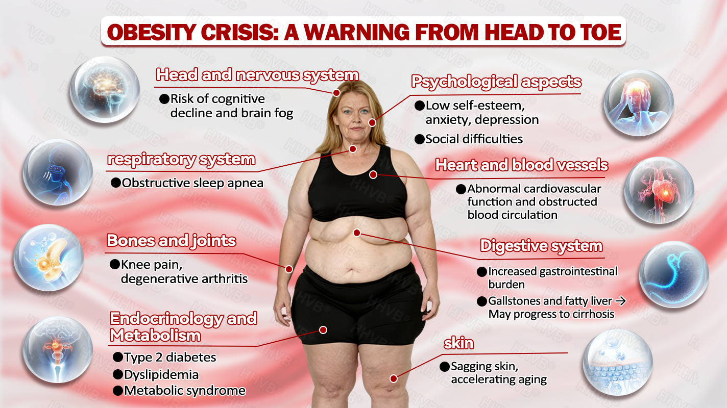 🇺🇸𝑶𝒇𝒇𝒊𝒄𝒊𝒂𝒍 𝑺𝒕𝒐𝒓𝒆𝑰𝐻𝐻𝑉𝐵®🌿𝑮𝑳𝑷-1+𝑪𝒐𝒍𝒍𝒂𝒈𝒆𝒏 𝑷𝒆𝒑𝒕𝒊𝒅𝒆𝒔 𝑾𝒆𝒊𝒈𝒉𝒕 𝑳𝒐𝒔𝒔&𝑭𝒊𝒓𝒎𝒊𝒏𝒈 𝑶𝒓𝒂𝒍 𝑺𝒐𝒍𝒖𝒕𝒊𝒐𝒏 𝒘𝒊𝒕𝒉 🔥𝑪𝒐𝒍𝒍𝒂𝒈𝒆𝒏 𝑷𝒆𝒑𝒕𝒊𝒅𝒆𝒔 & 𝑴𝒂𝒕𝒓𝒊𝒙𝒚𝒍 3000 𝒉𝒆𝒍𝒑𝒔 𝒕𝒂𝒓𝒈𝒆𝒕 ✅𝒐𝒃𝒆𝒔𝒊𝒕𝒚, 𝒇𝒊𝒓𝒎𝒔 𝒔𝒌𝒊𝒏,𝒄𝒂𝒓𝒅𝒊𝒐𝒗𝒂𝒔𝒄𝒖𝒍𝒂𝒓 𝒅𝒊𝒔𝒆𝒂𝒔𝒆, 𝒅𝒊𝒂𝒃𝒆𝒕𝒆𝒔, 𝒔𝒍𝒆𝒆𝒑 𝒂𝒑𝒏𝒆𝒂, 𝒋𝒐𝒊𝒏𝒕 𝒑𝒓𝒐𝒃𝒍𝒆𝒎𝒔, 𝒂𝒏𝒅 𝒎𝒐𝒓𝒆,